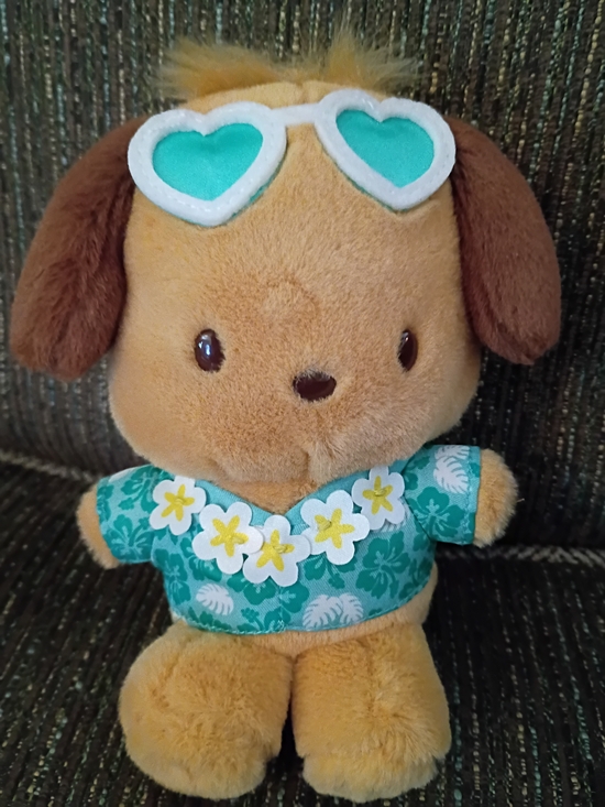 Sanrio Other - Sanrio Pochacco Mascot Tokonatsu Vacation Plush Japan New With Tags